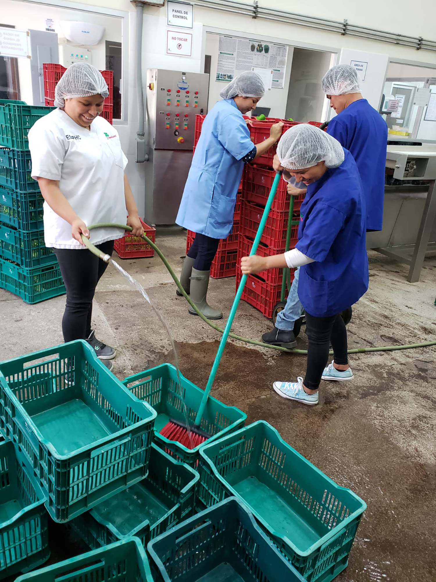Participants working together at the post harvest processing plant.