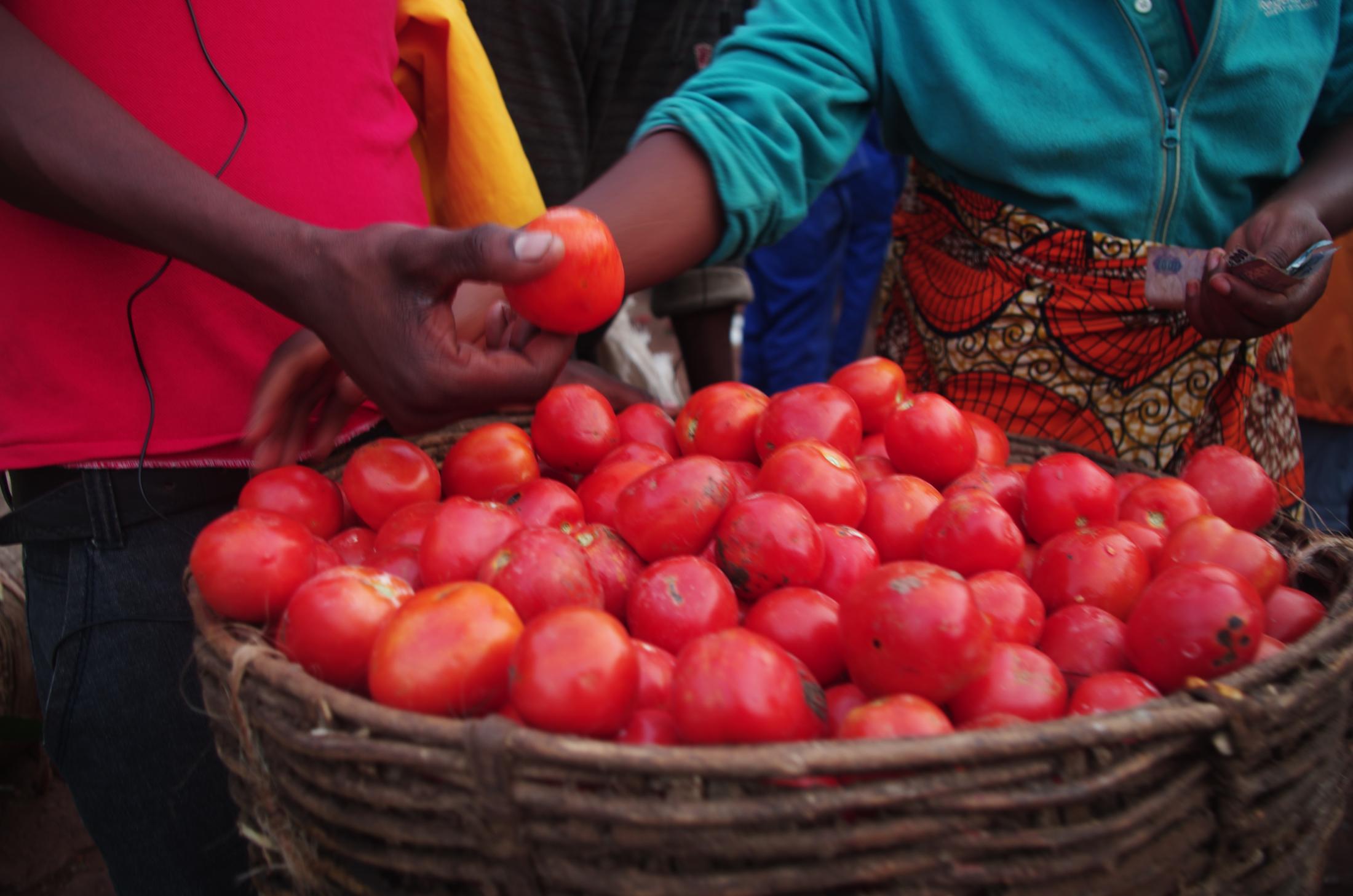 Close-up on basket of tomatoes at a market in Rwanda