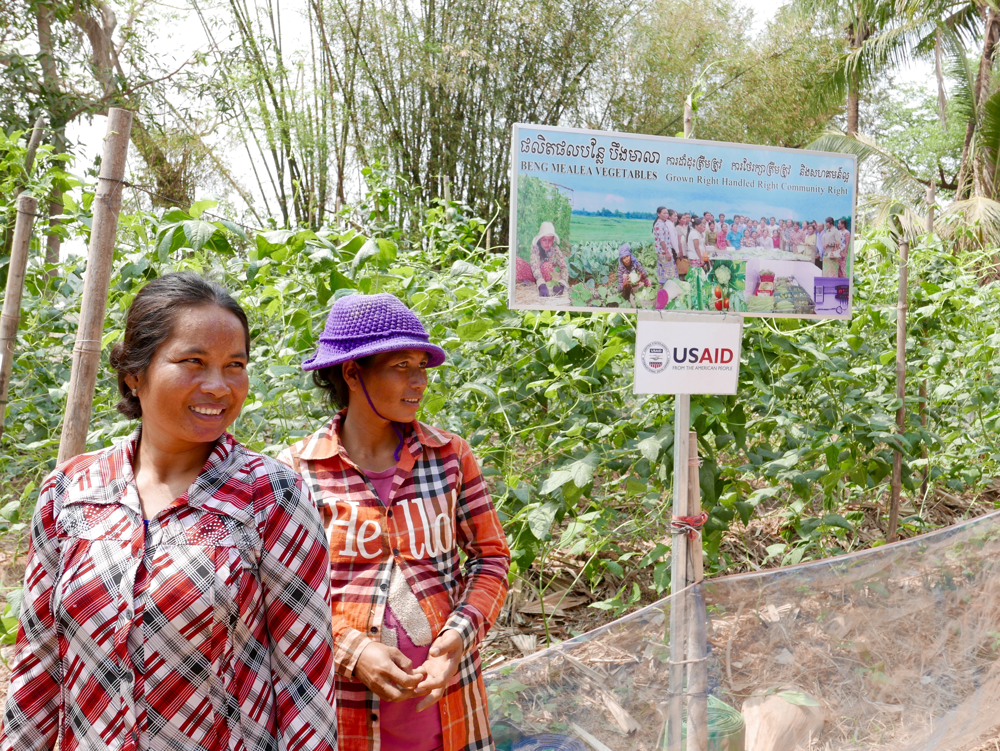 Women farmers growing vegetables with conservation agriculture practices and drip irrigation in Cambodia, with project sign and USAID logo.