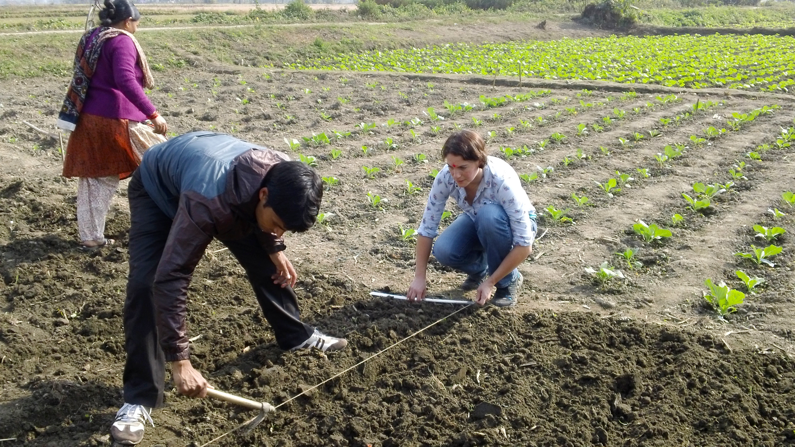 Students measure out a plot in a field