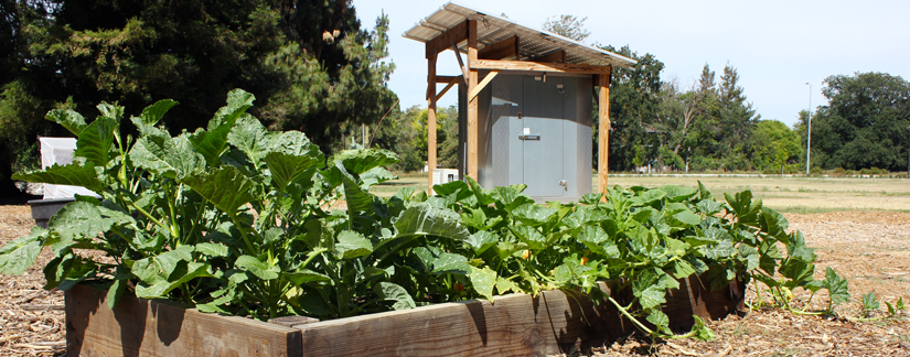 Photo of raised bed with lots of healthy vegetables growing, CoolBot chamber in the background.