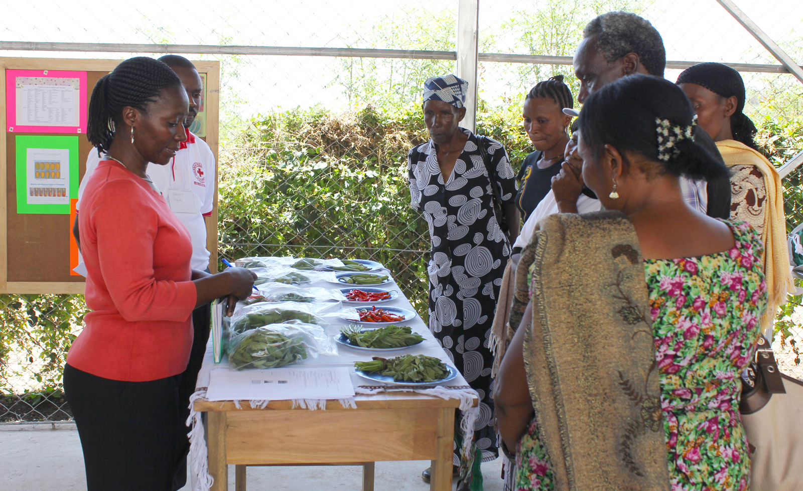 Woman leads a discussion over a table of vegetables on plates and in bags with a group of farmers who are listening