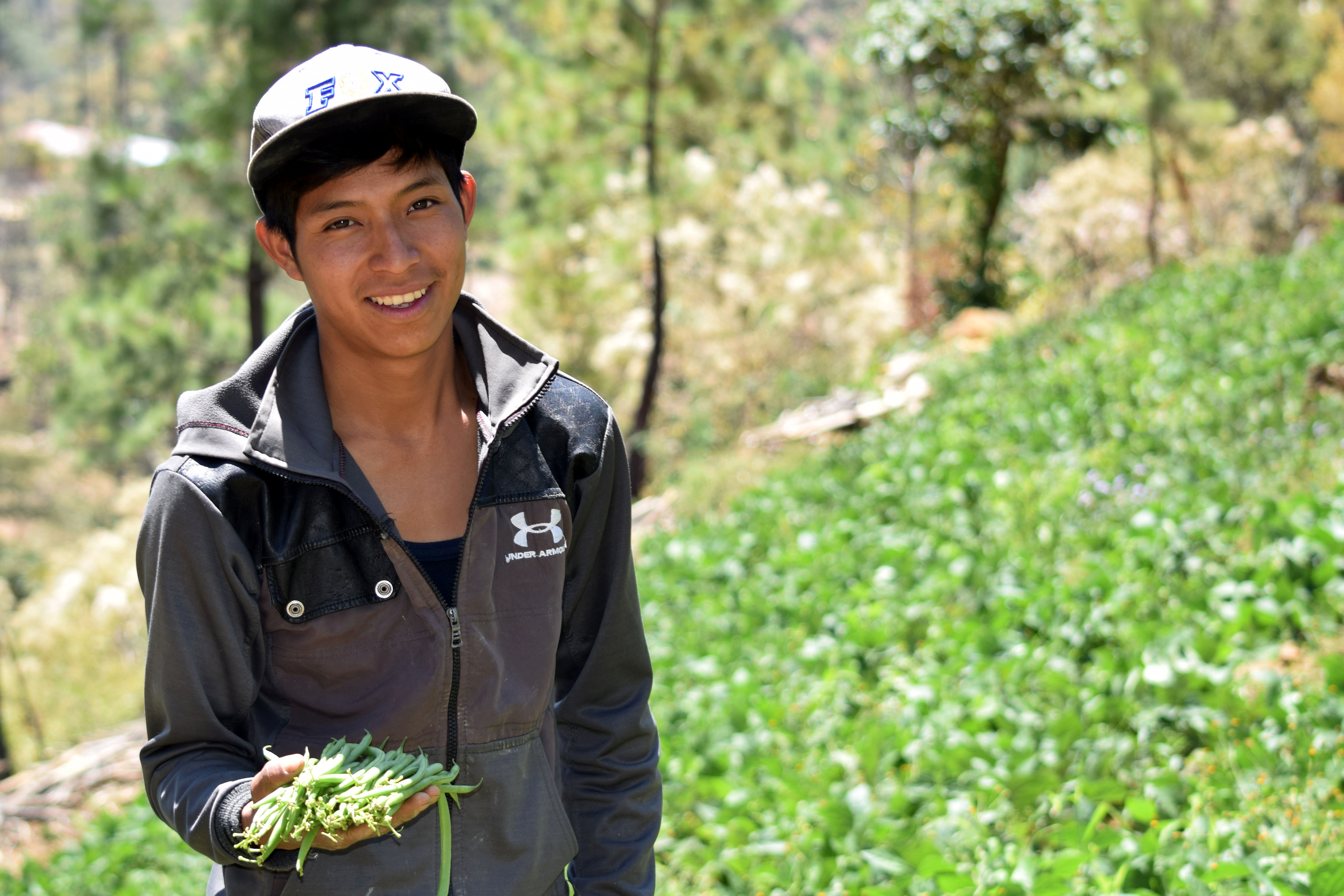 Young farmer holding green beans in sloped farming field