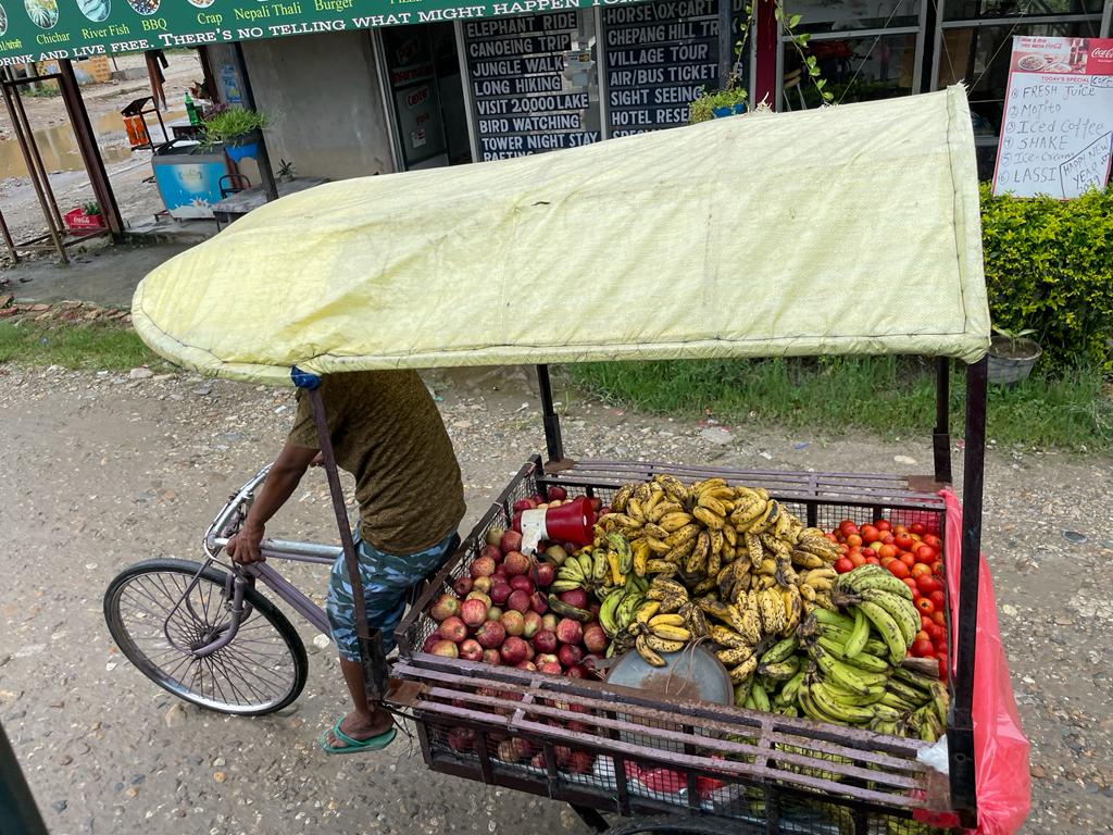Mobile fruit cart in Nepal