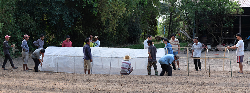 Farmer group sets up net tunnel in Cambodia