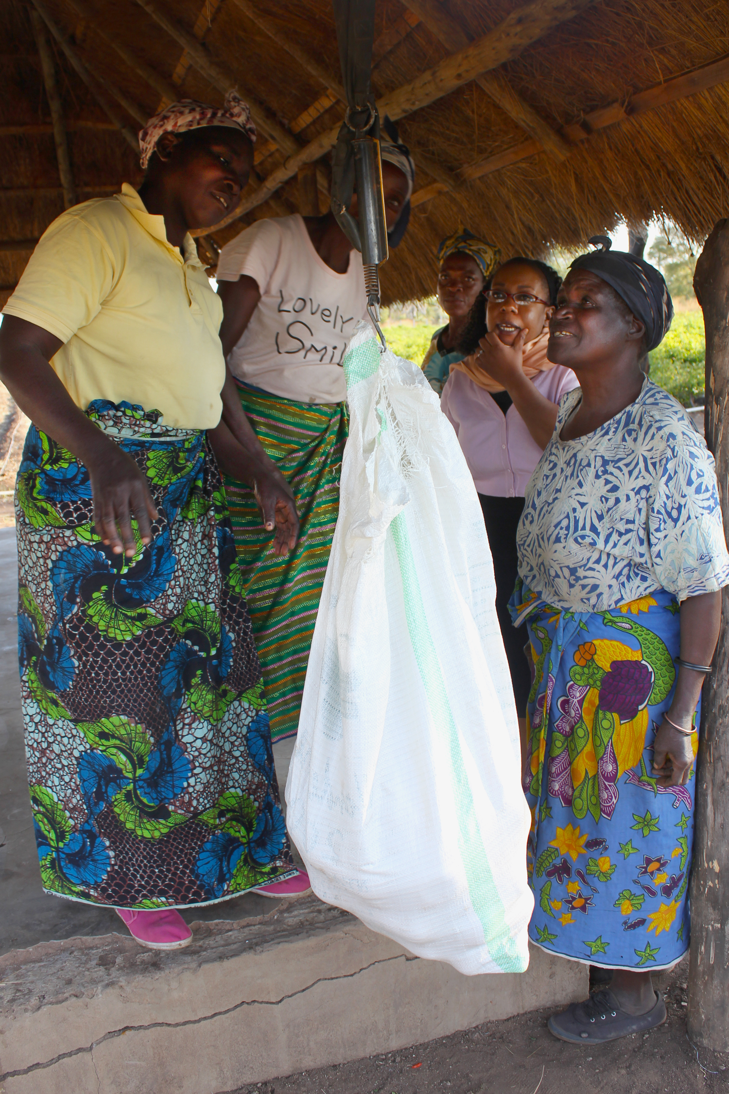 Women farmers and a buyer gather around a scale and bag of produce to discuss prices.