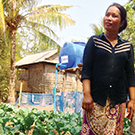 Vegetable farmer in Cambodia using conservation agriculture
