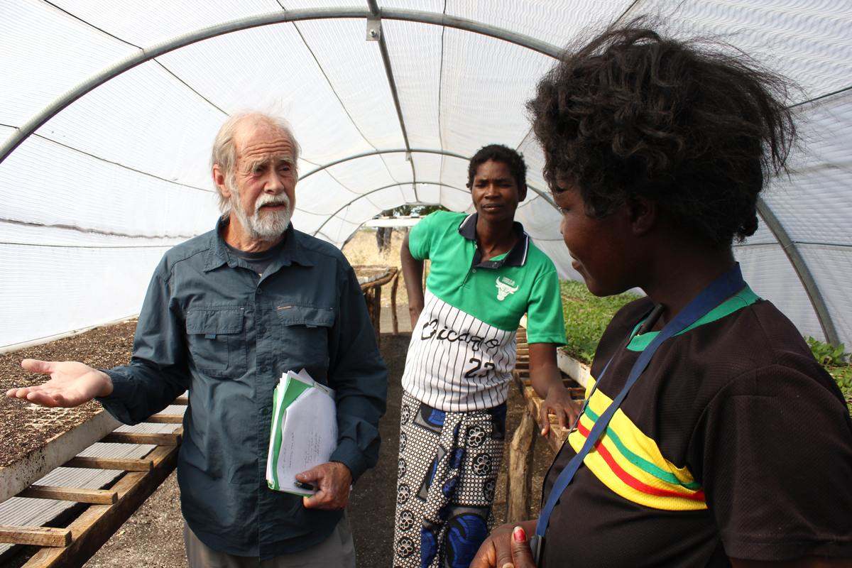 Researcher ask farmers about vegetable seedlings inside a greenhouse tunnel.