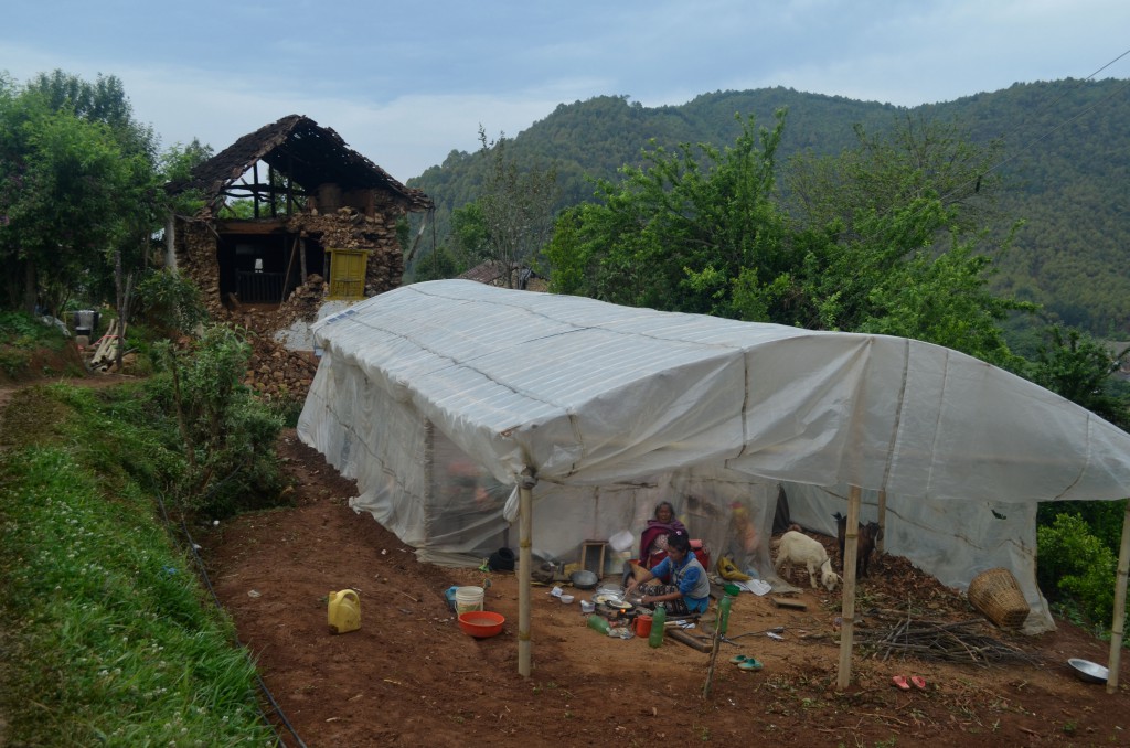 People cooking under the awning of a greenhouse made from wooden poles and plastic sheeting, near remnants of a home 