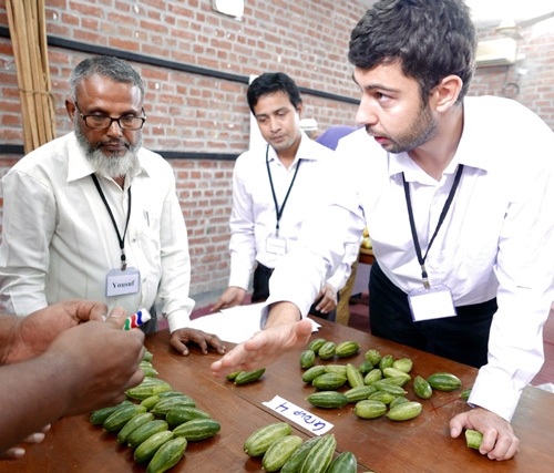 men leaning over a table with pile of green vegetables