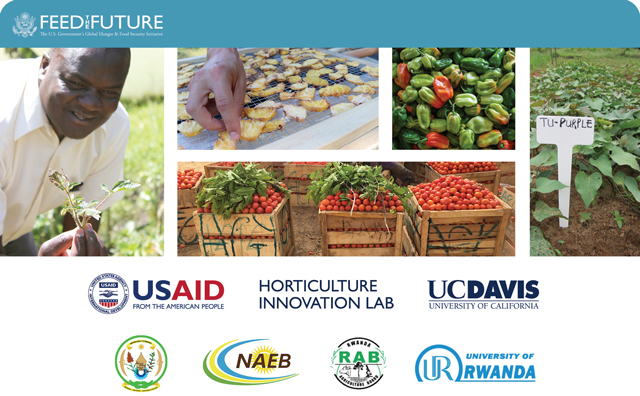 collage with Feed the Future, Horticulture Innovation Lab, and Rwanda partners logos