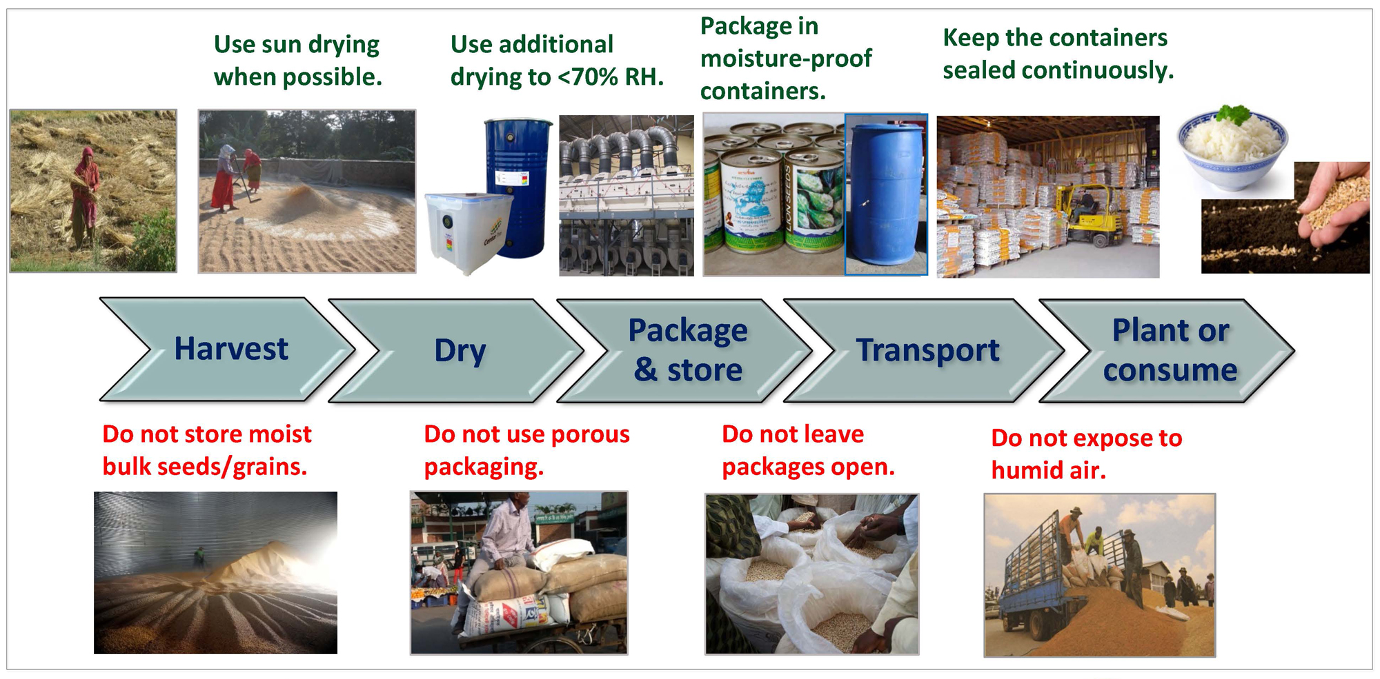Dry Chain for Seed and Food Preservation slide - shows what to do and what not to do in dry chain, from harvest to consumer