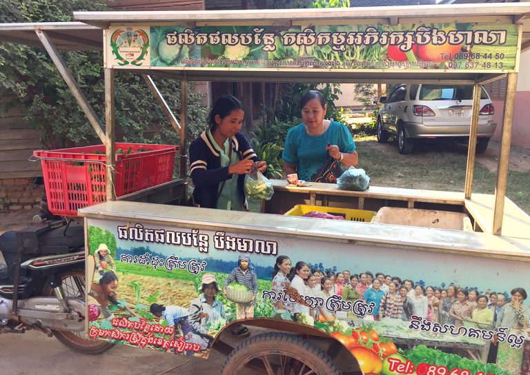 Painted trailer behind a motorbike, with women buying and selling vegetables from inside