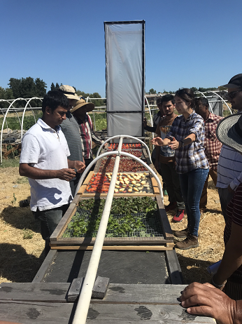 Student and farmers gather around chimney solar dryer at farm in Sacramento