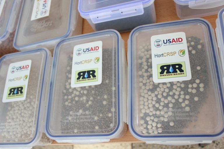 drying bead boxes with seed