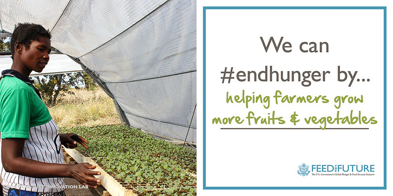 We can #endhunger by helping farmers grow more fruits & vegetables