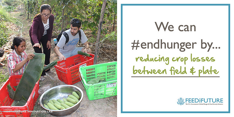 We can #endhunger by reducing crop losses between field & plate