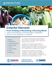 cover - fruits and vegetable image, Colorful Harvest: From Feeding to Nourishing a Growing World