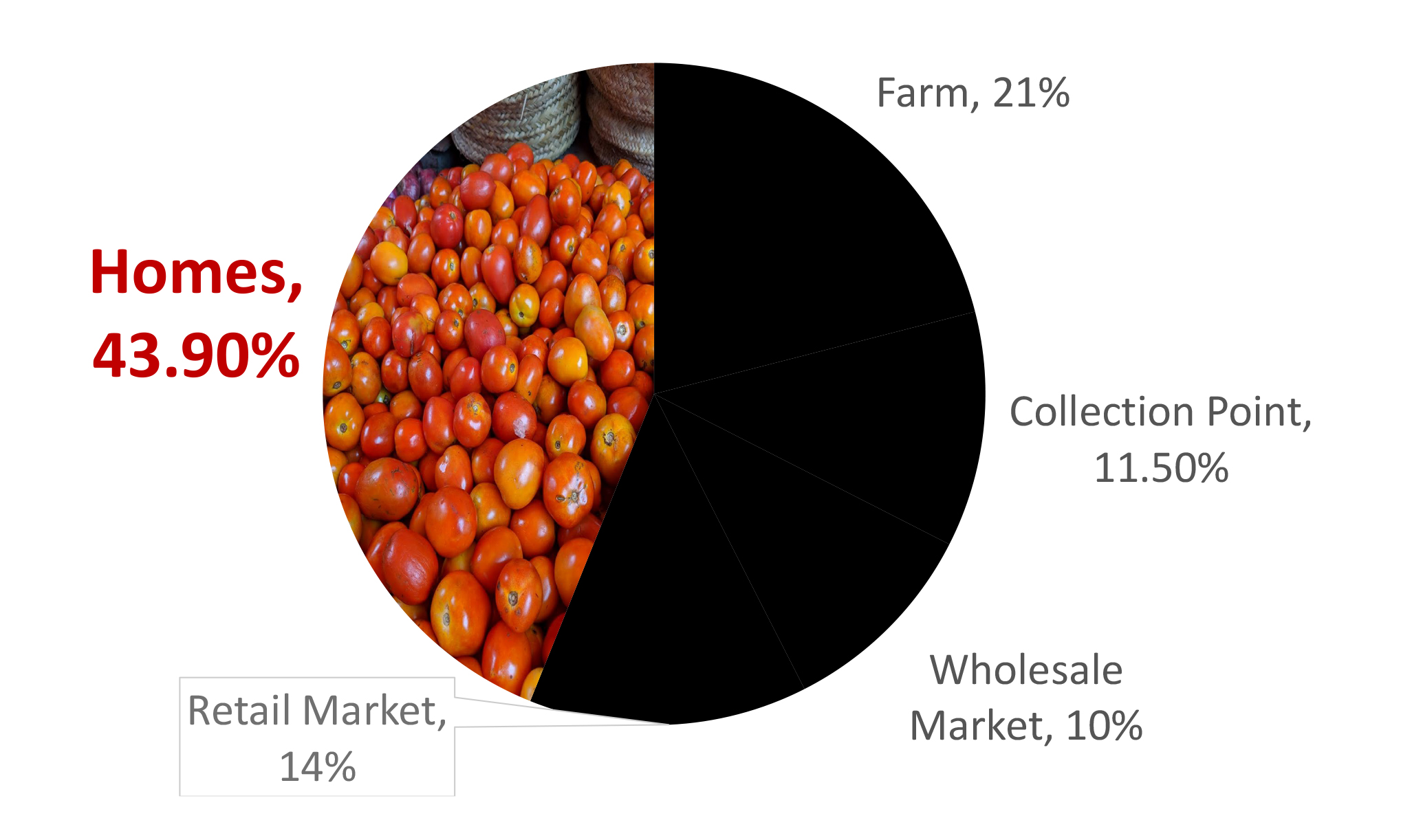 Pie chart showes that 43.9% of tomatoes harvested end up in homes, after 21% are lost on the farm, 11.5% lost at collection points, 10% lost at the wholesale market, and 14% are lost at retail.