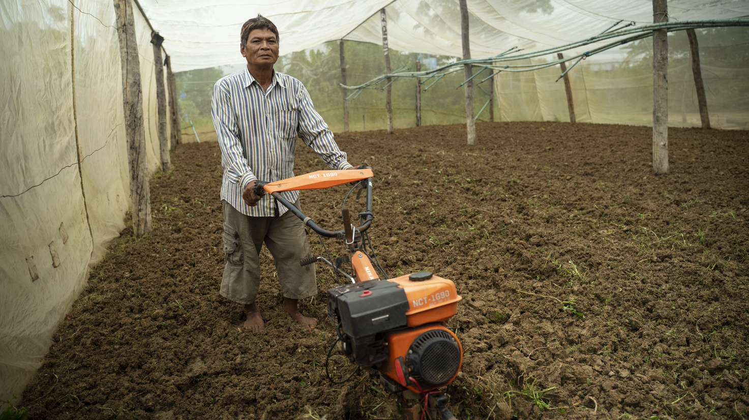 Farmer using a rototill on soil inside nethouse in Cambodia