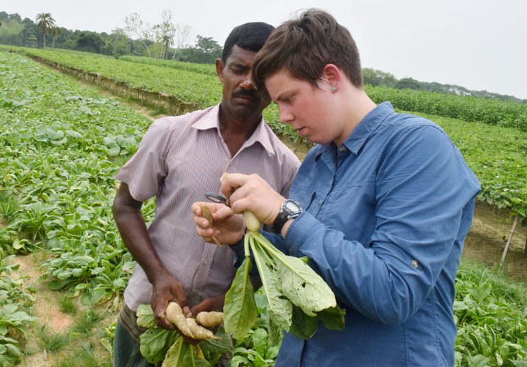 Researchers peer at magnifying glass on vegetable root on a farm in Bangladesh