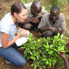 american student talks with farmers in Uganda about citrus tree problems