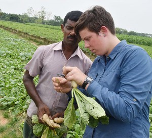 Graduate student and farmer examine a plant sample in a field