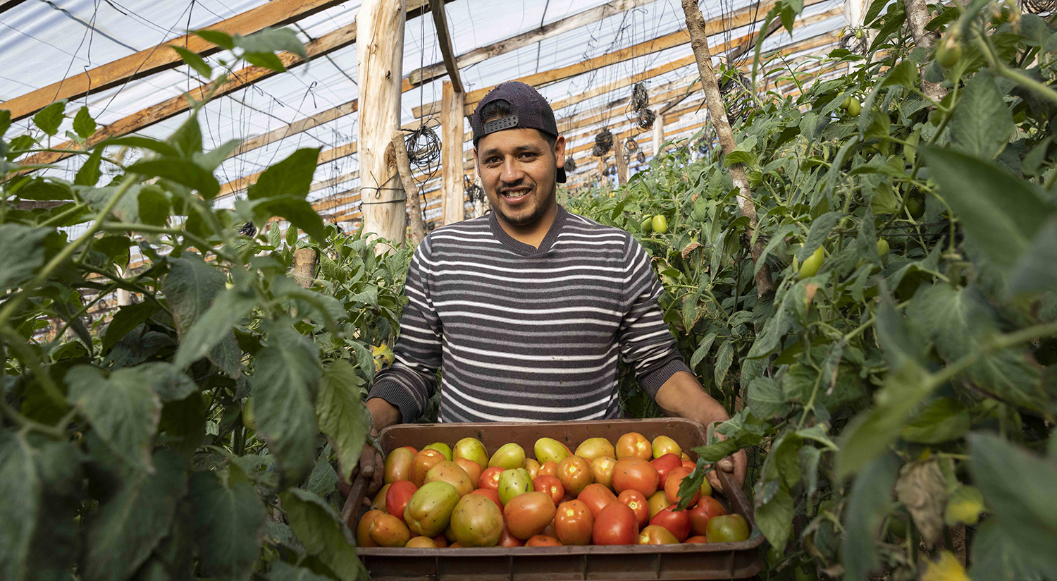 smallholder farmer with crate of produce