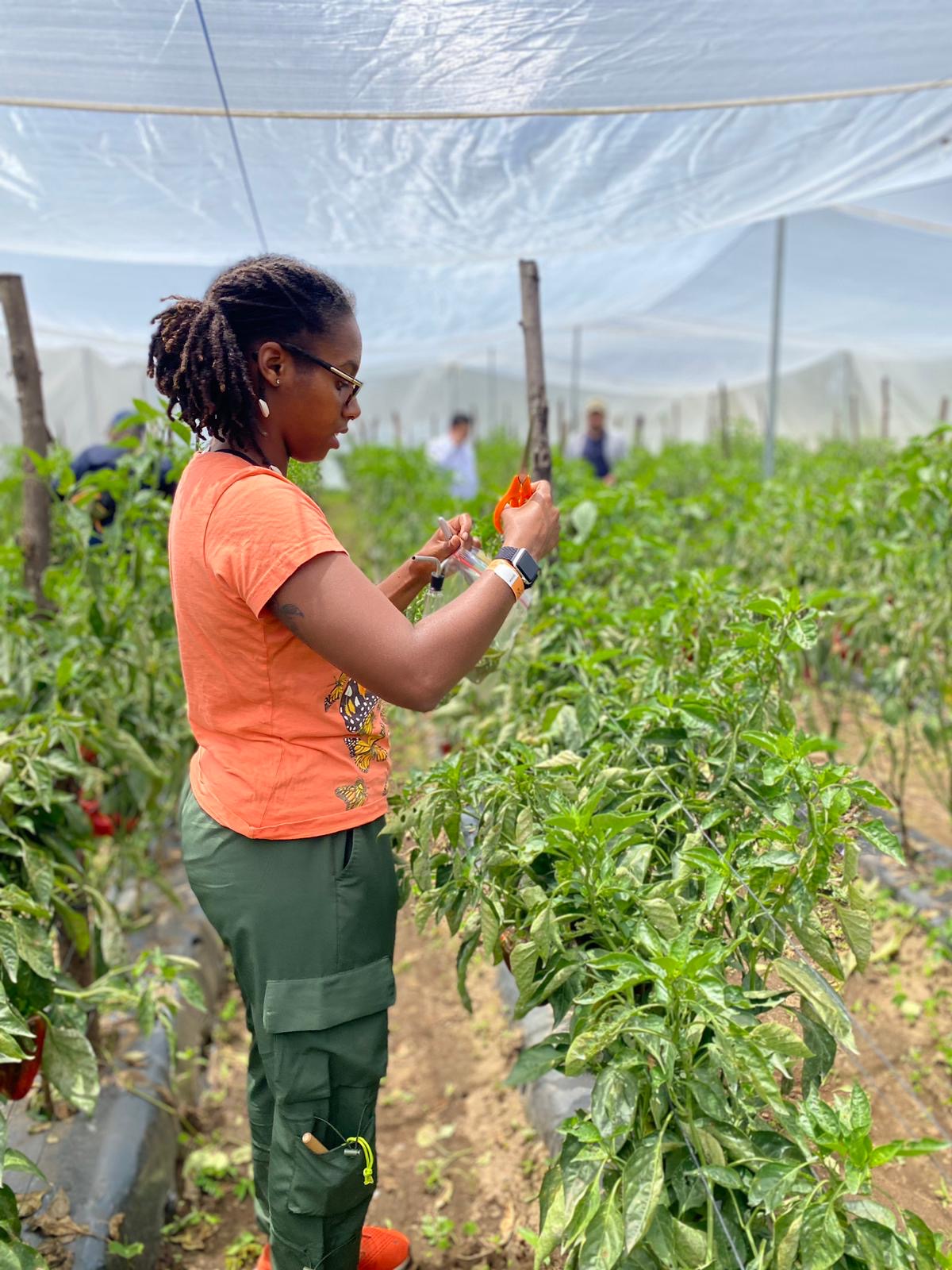 Researcher in field 