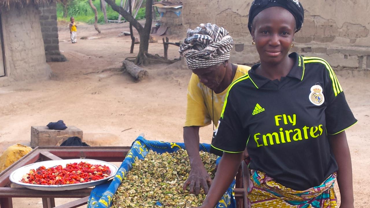 Guinean farmers drying okra.