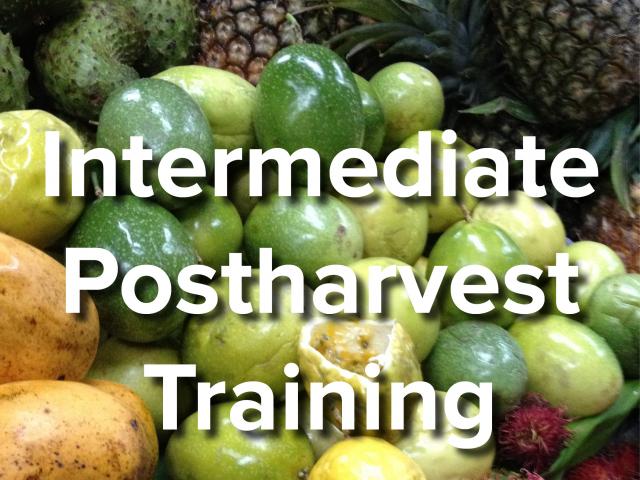 Intermediate Postharvest Training text on background image of fruits