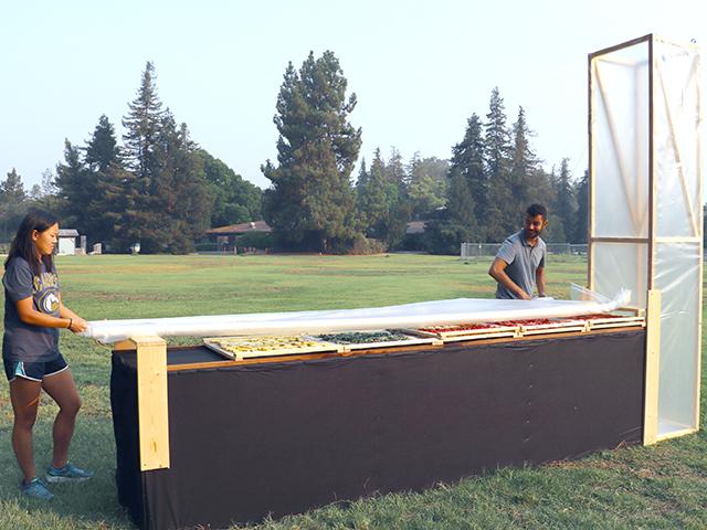 chimney solar dryer with student and researcher at UC Davis