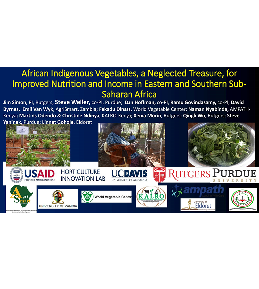 Title slide: African indigenous vegetables, a neglected treasure, for improved nutrition and income in eastern and southern Sub-Saharan Africa