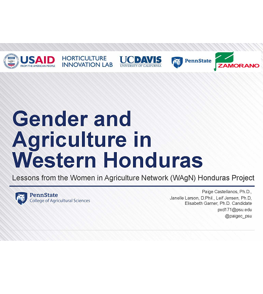 Title slide: Gender and agriculture in Western Honduras: lessons from the women in agriculture network Honduras project