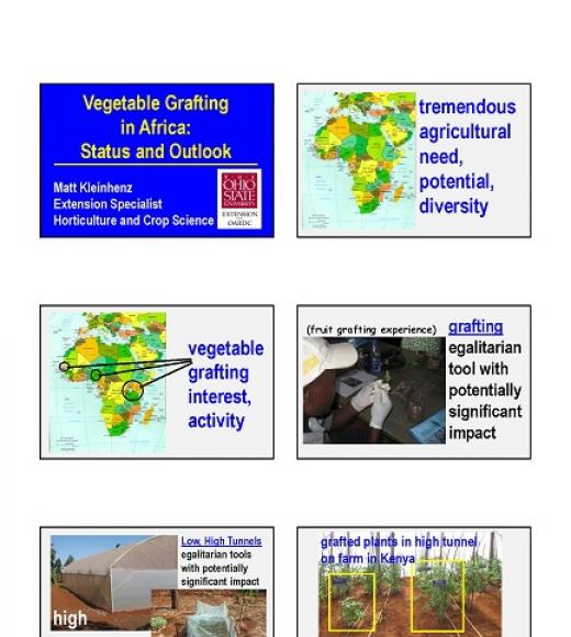 "Vegetable grafting in Africa: Status and Outlook, Matt Kleinhenz, Extension Specialist, Horticulture and Crop Science" slides
