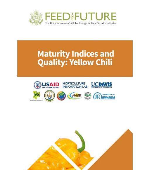 Maturity indices and quality: yellow chili-cover