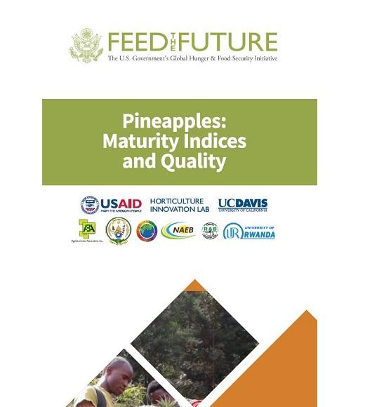 Pineapples: maturity indices and quality