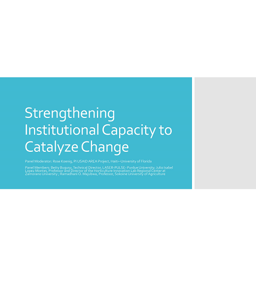 Title slide from Rose Koenig's presentation with title "Strengthening Institutional Capacity to Catalyze Change"