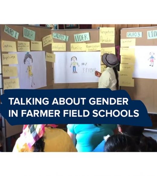 "Talking about gender in farmer field schools" text on a photo of a woman looking at a board with cards and drawings of women on it 
