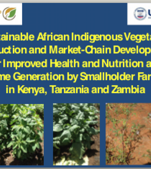 Strengthening the value chain for African indigenous vegetables