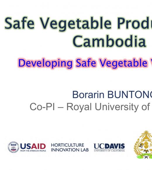 title slide- Safe Vegetable Production in Cambodia, Developing Safe Vegetable Value Chain