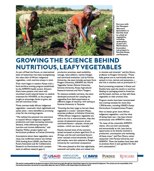 fact sheet- Growing the science behind nutritious, leafy vegetables 