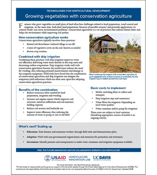Technology fact sheet: Conservation agriculture for vegetables