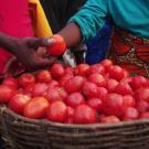 Close-up on basket of tomatoes at a market in Rwanda