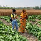  Empowering youth entrepreneurs through appropriate horticulture interventions in Nepal 