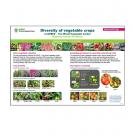 Diversity of Vegetable Crops at the World Vegetable Center, Regional Center for Africa Poster