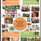 Sustainable technologies for orange and purple sweet potatoes in Ghana 