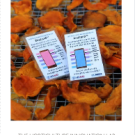 Dried mangoes being assessed using the DryCard™ technology