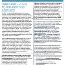 Policy Brief: Fungal Toxins and Food Insecurity
