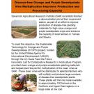 Handout: Strengthening the value chain for orange- and purple-fleshed sweet potatoes